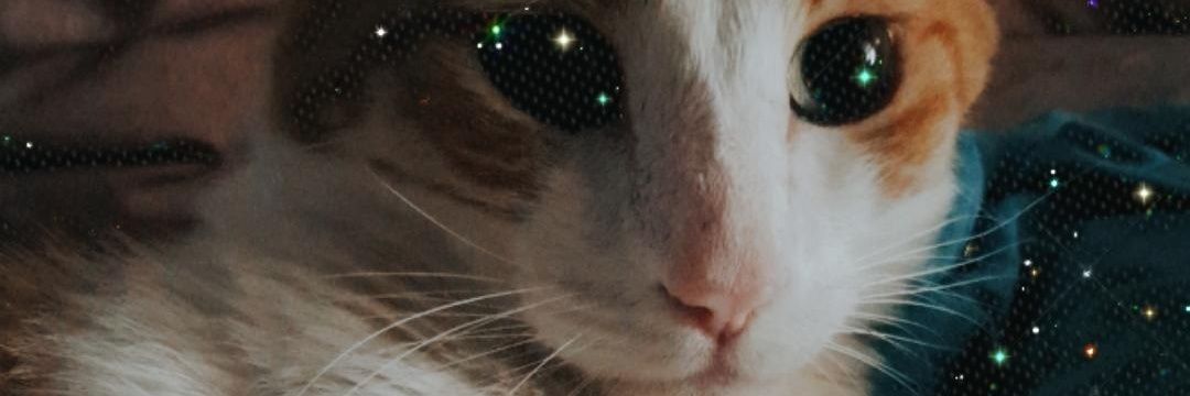 IrmaGamez's profile banner image