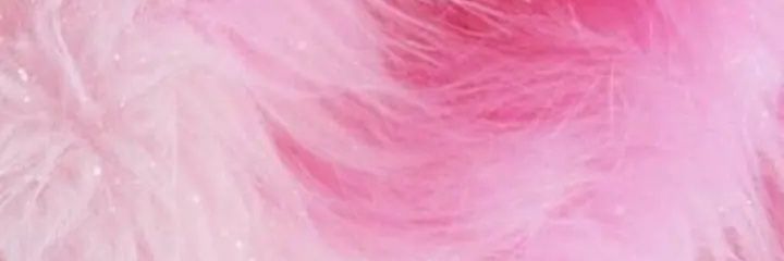 FantoniRoci's profile banner image