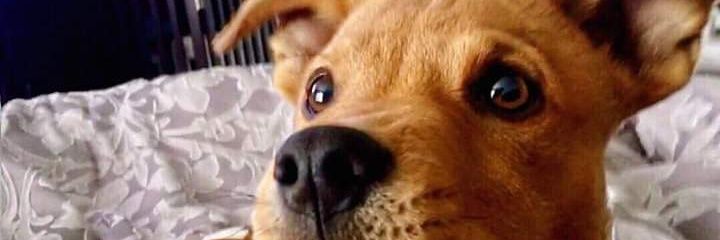 faheemudeen's profile banner image