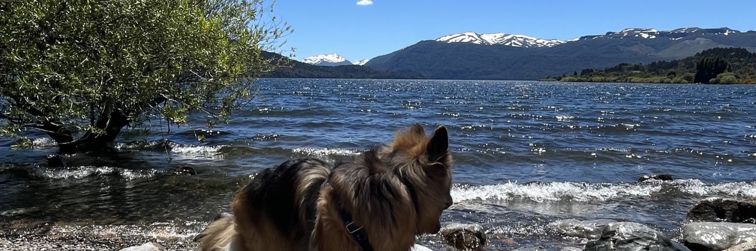 anyasalmini's profile banner image