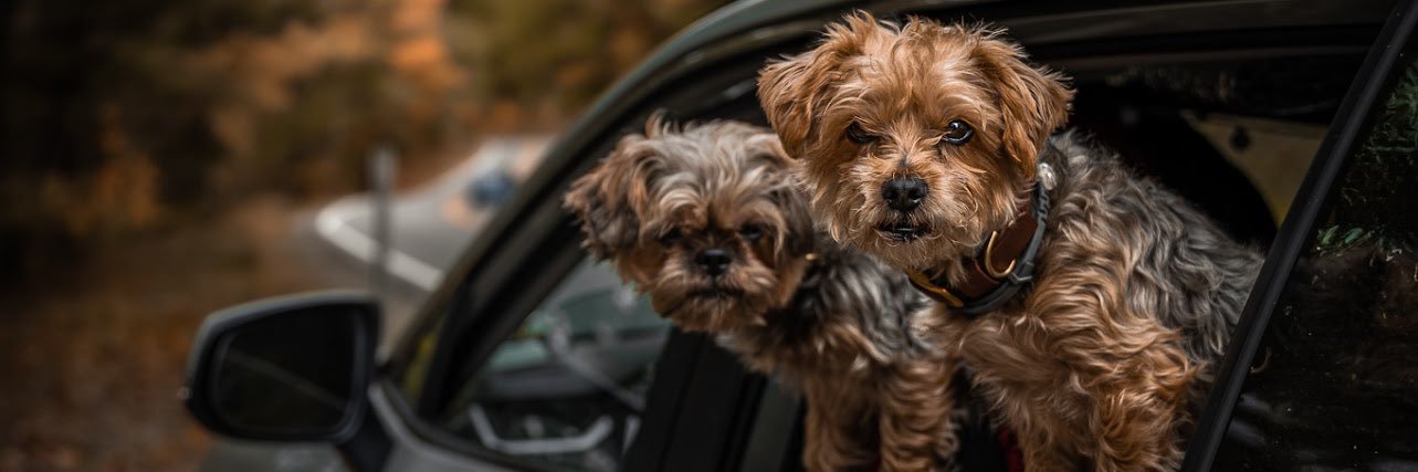 Jillian | Northeast Photographer | Jersey 📍 banner