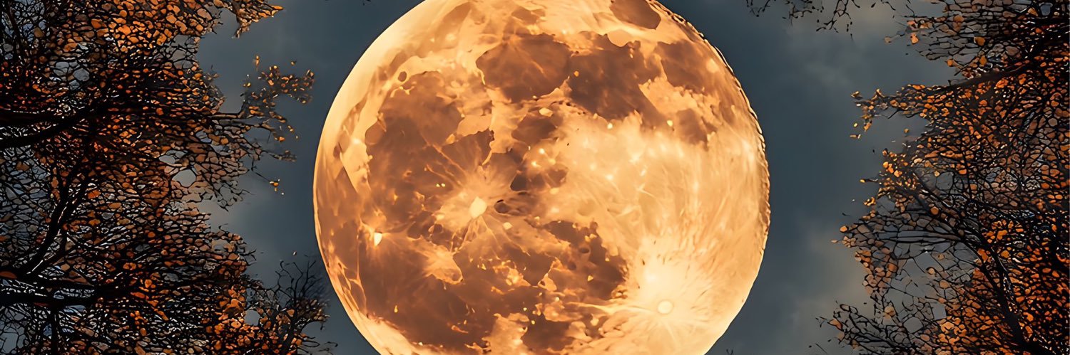 Johnny_Cinco 🔱 🔜 banner