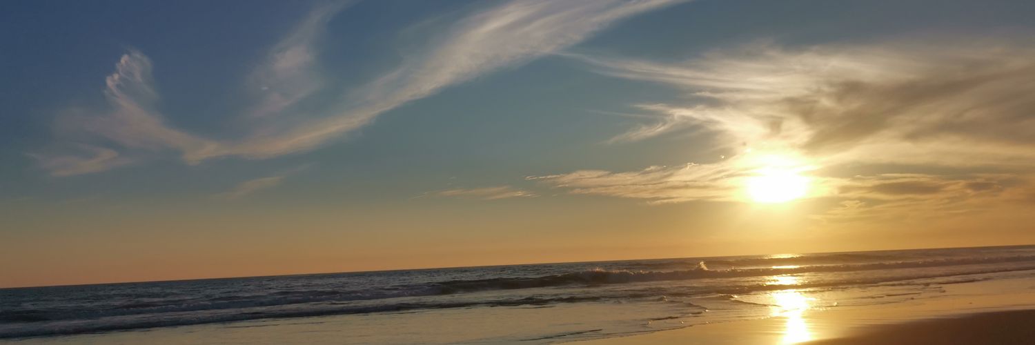 Alejandra M@rtínez ® banner