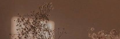 itsdaisyrosee's profile banner image