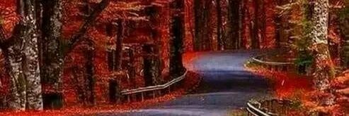 De Big Dream⭐⚡🚀🛸🗿💯 banner