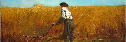 BlessedarethePeacemakers banner