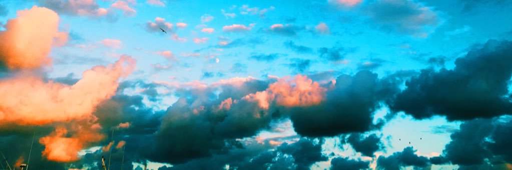 slcodianne's profile banner image