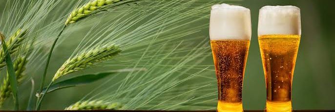 Beer Farm 🍺🍺🍺 banner