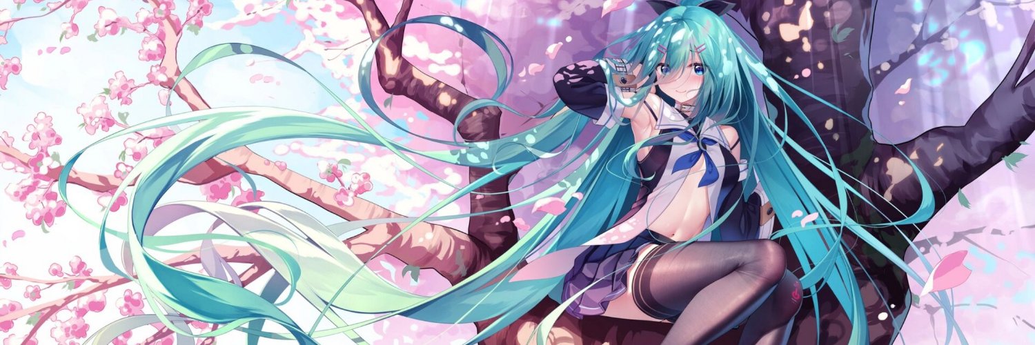 koki_nini's profile banner image
