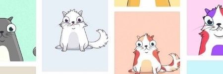 Y🌻 banner