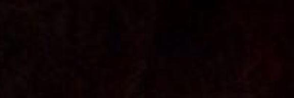 sophfeldman's profile banner image