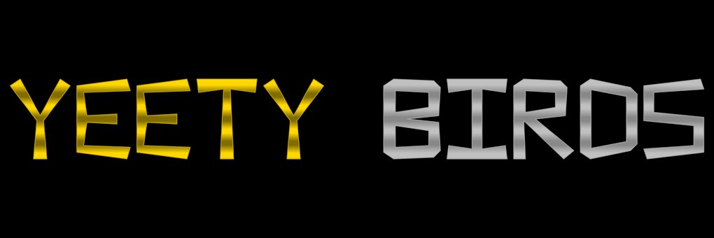 Yeety_Bird's profile banner image