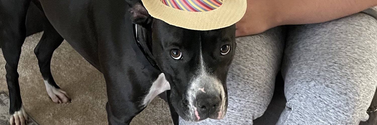 joseandre_'s profile banner image
