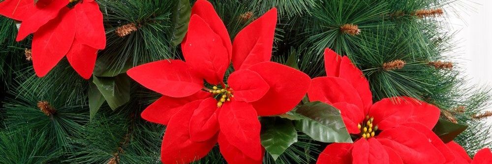 christmastiina banner