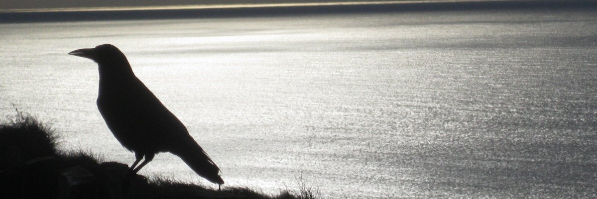 ericsherred's profile banner image