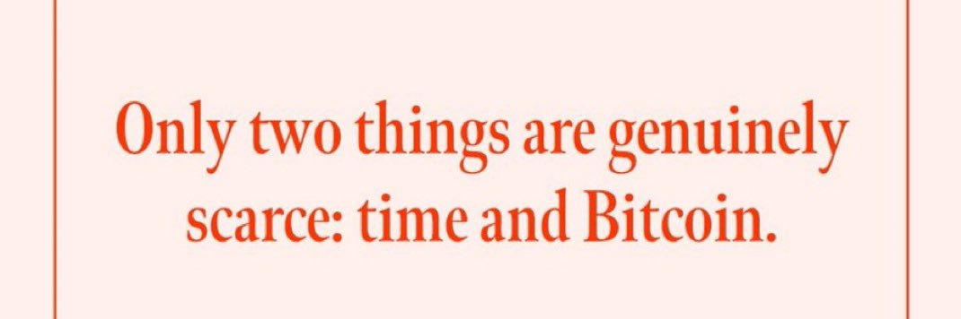 모들언니🍊 banner