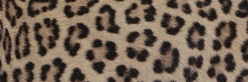 mar لا banner