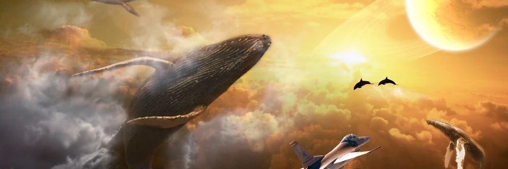 Jacob Bussell banner