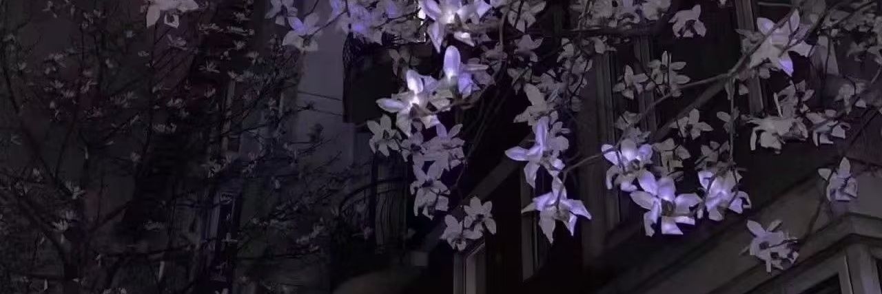 ShisanMikan's profile banner image