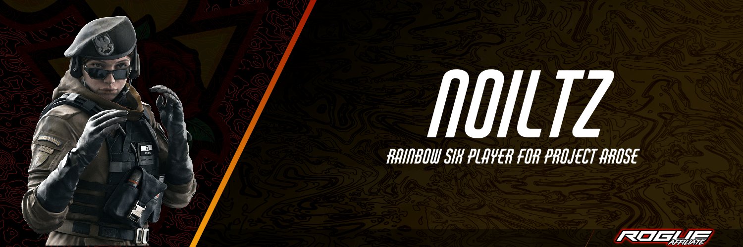 Noiltz banner