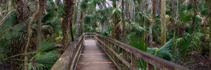 Dr. Acula 🧛🏻‍♀️ banner