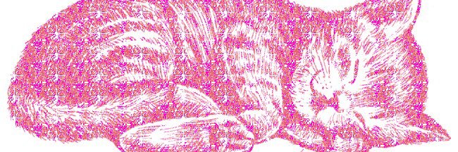 ≽^- ˕ -^≼ banner