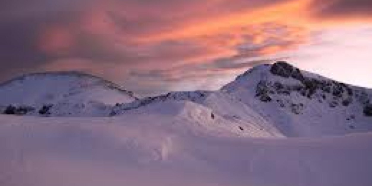 Deborah Scothern banner