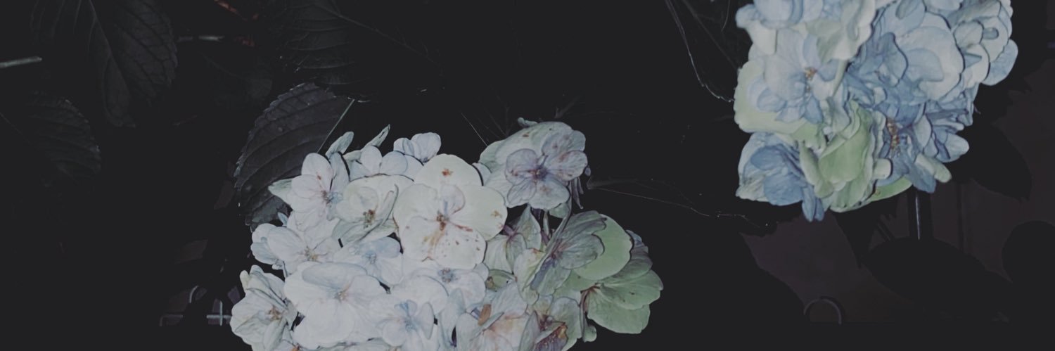 ﾈ ｯ ｺ banner