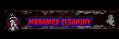 Mohamed Elganiny banner