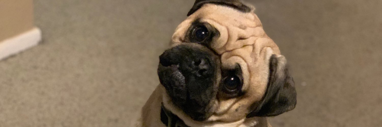 American_Sloth's profile banner image