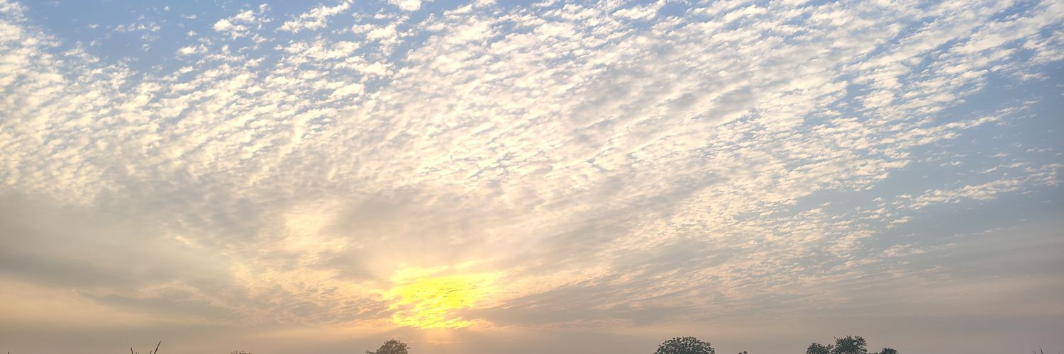 Prathamesh Patil | 🌿 banner