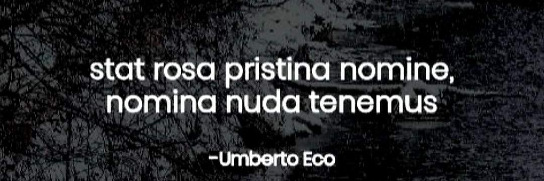 Affettadacoerenza's banner