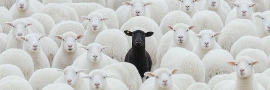 CortesJones_'s profile banner image