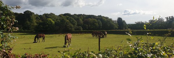 SpringfortPark Profile Banner