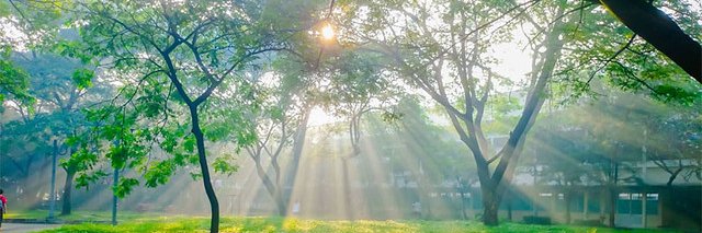 vannguyen_fx's profile banner image