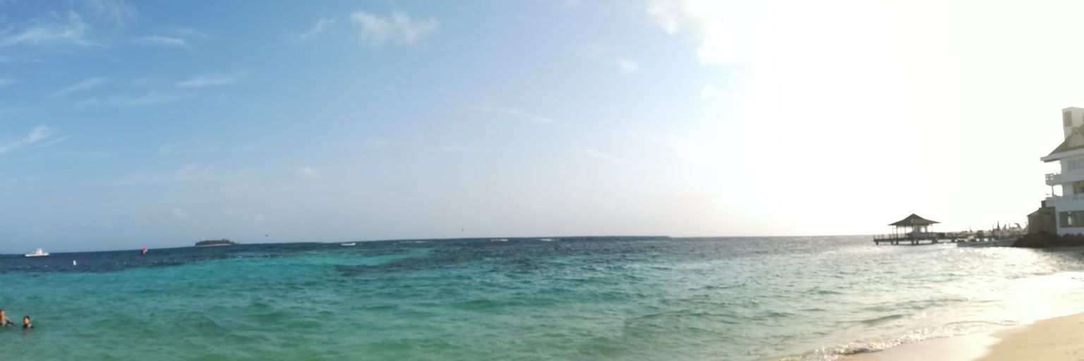 NicoleA256's profile banner image