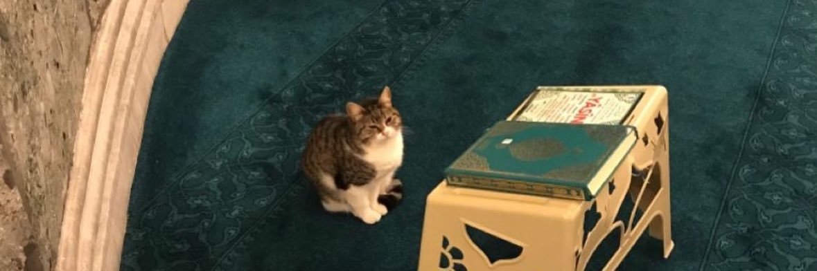 i__melaf's profile banner image