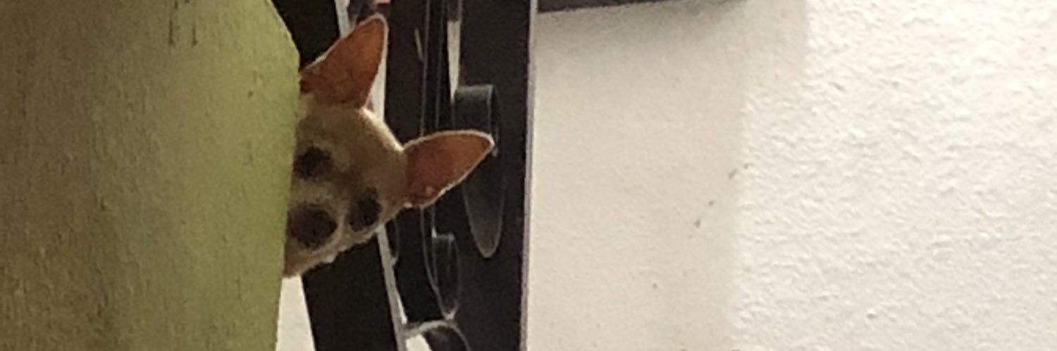 JossBa's profile banner image