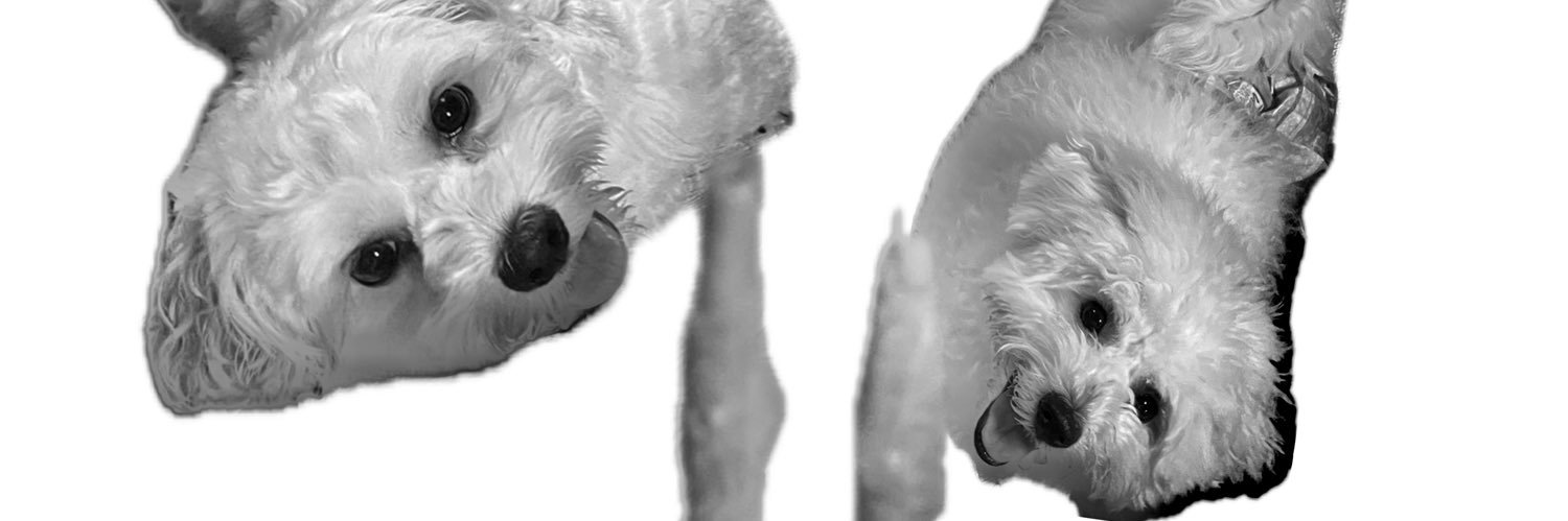 noa__k73's profile banner image