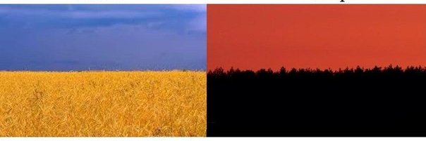 Dumitru Cretu 🇺🇦 🇪🇺 banner