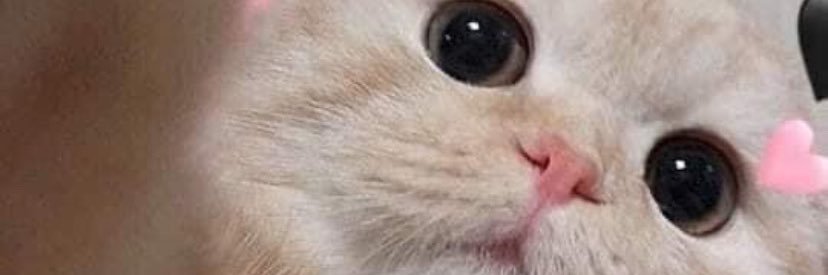 zkzzzigzag's profile banner image