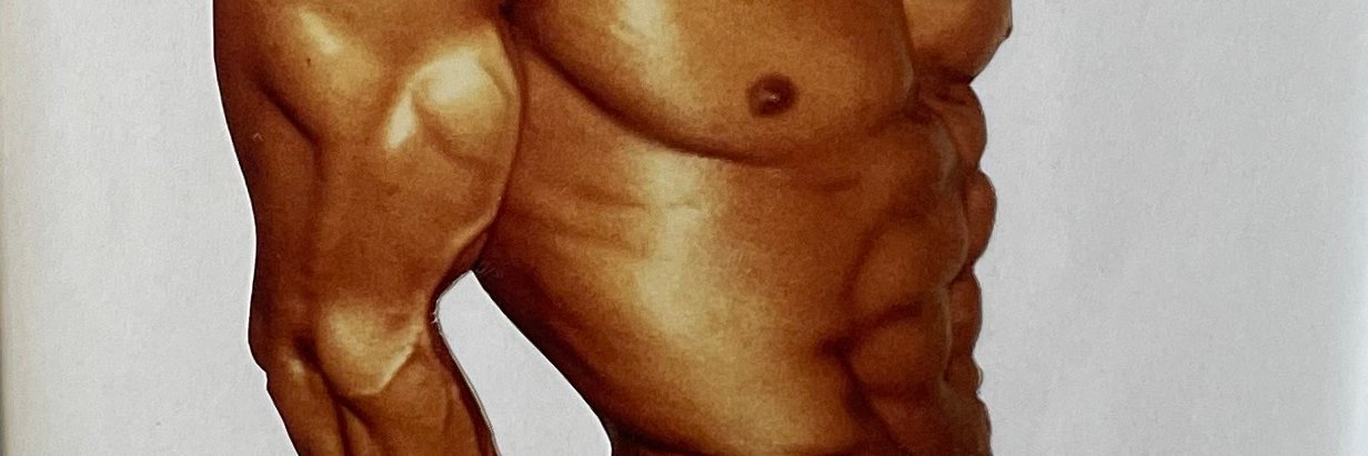 Strong-Type.Systems banner