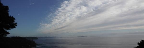 ecowatchnz's profile banner image