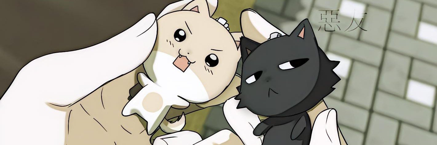 phaideili's profile banner image