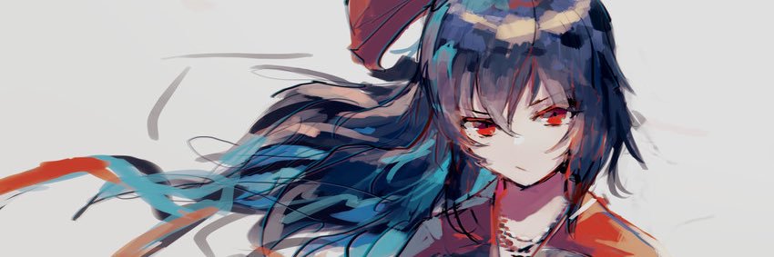 ☧🇺🇸RavenRespecter✝️☧ banner