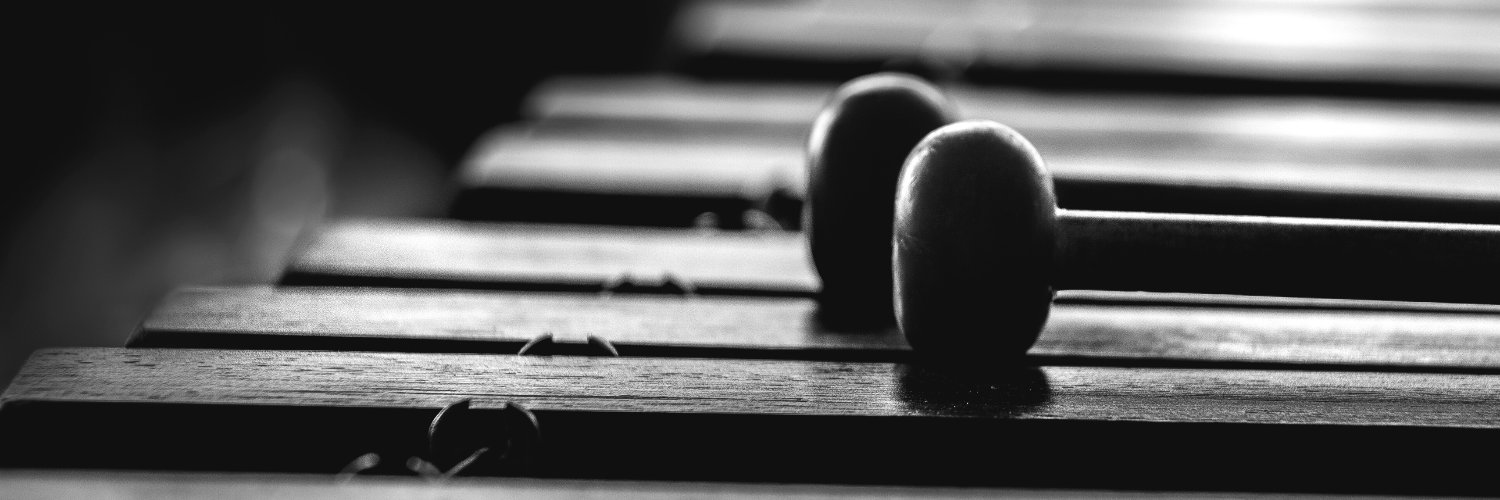 jan larz music banner