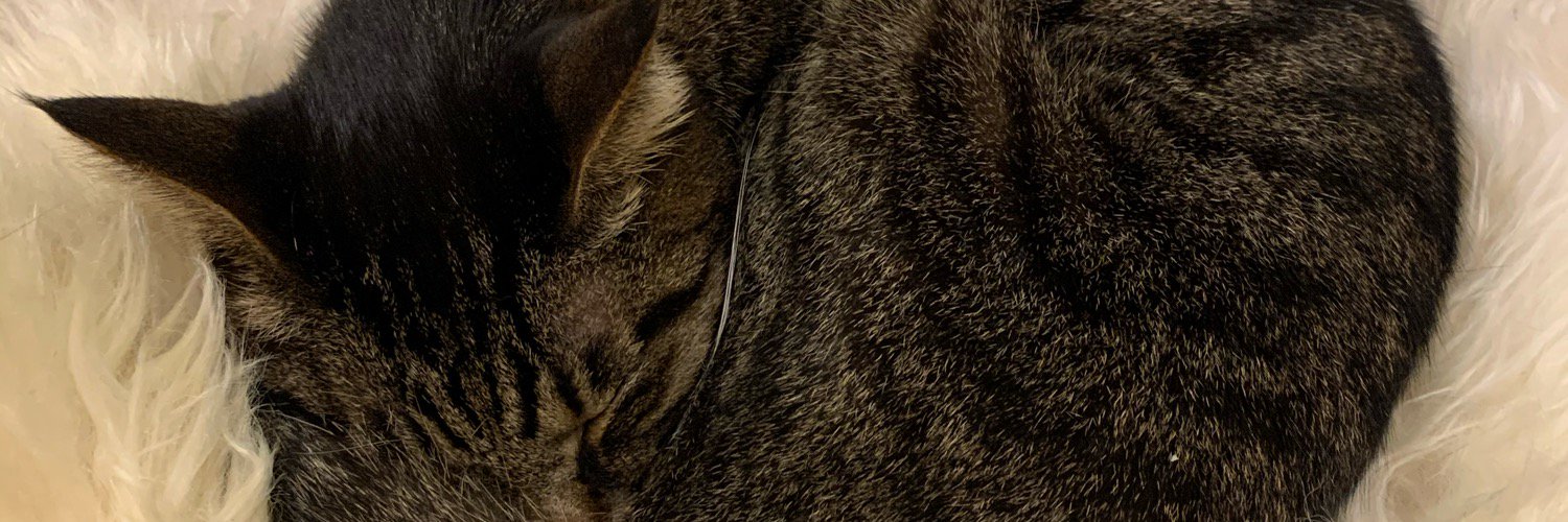 tnari's profile banner image