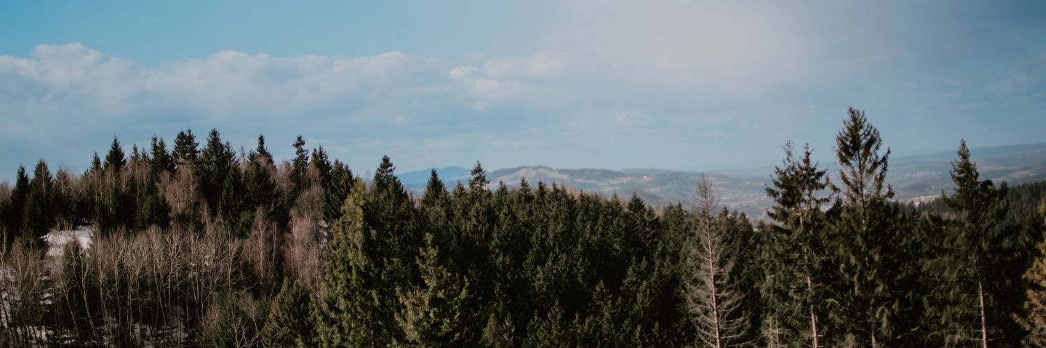 ᴊᴀᴄᴋ ᴛʜᴇ ᴀᴜssɪᴇ banner