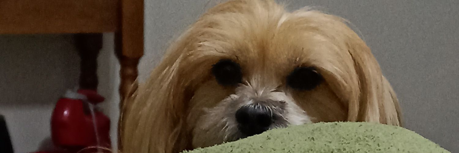 _antonelo⚡ banner