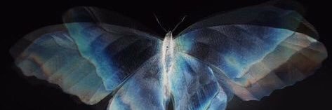 eliifs00's profile banner image